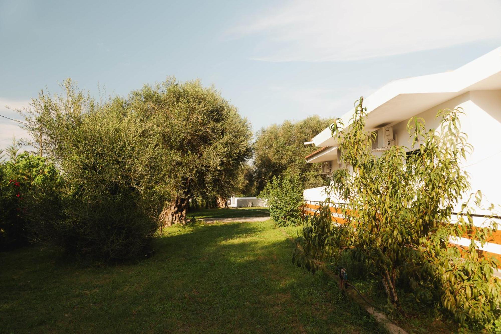 Olive Grove Suites Boutique Hotel Moraitika Exterior foto